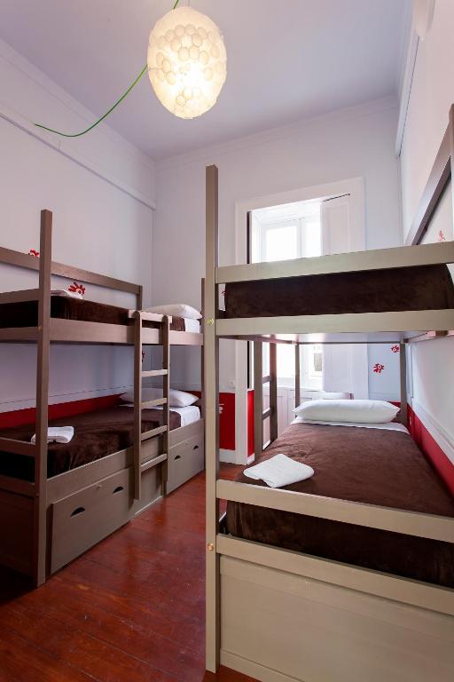 Ecohostel Bettmar ラスパルマス・デ・グランカナリア 部屋 写真